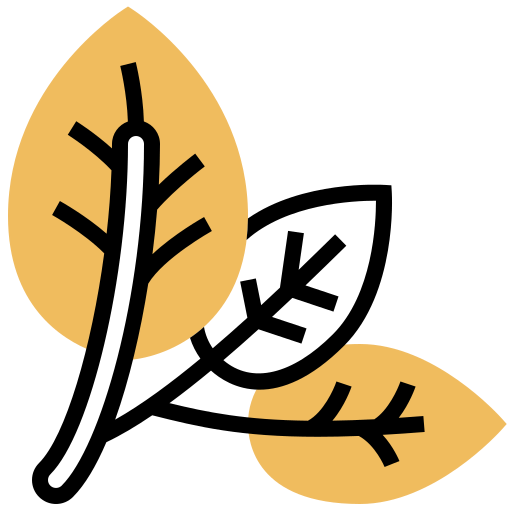 Spinach icon