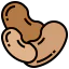 Bean icon 64x64