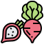 Radish icon 64x64