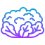 Cauliflower icon 64x64