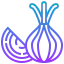 Onion icon 64x64