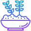 Rice іконка 64x64