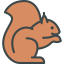 Squirrel icon 64x64