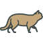 Wild cat icon 64x64