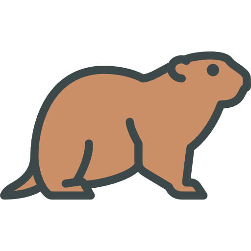 Groundhog icon