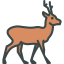 Roe icon 64x64