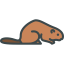 Beaver icon 64x64