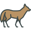 Coyote icon 64x64