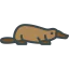 Platypus icon 64x64