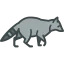 Racoon icon 64x64