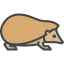 Hedgehog icon 64x64