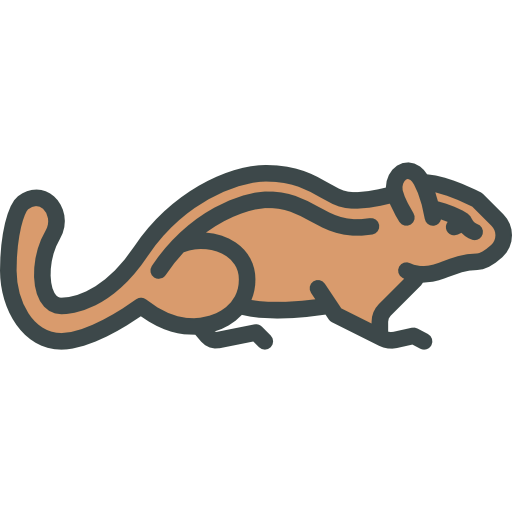 Chipmunk icon