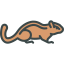 Chipmunk Symbol 64x64