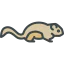 Squirrel icon 64x64