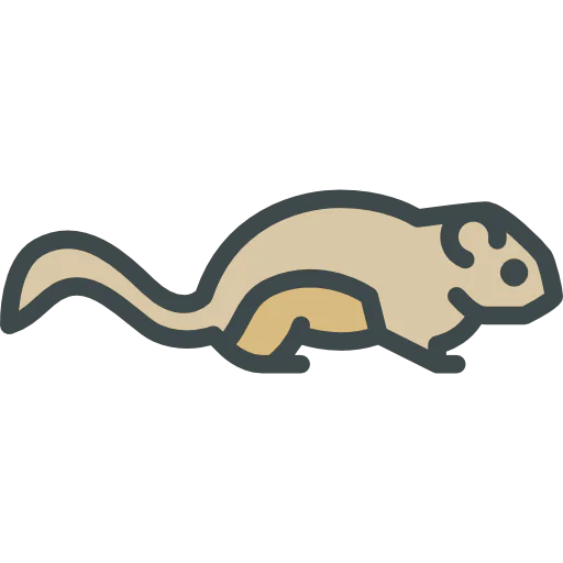 Squirrel icon