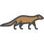 Mongoose icon 64x64