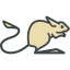 Jerboa icon 64x64