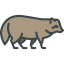 Racoon icon 64x64