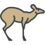 Musk icon 64x64