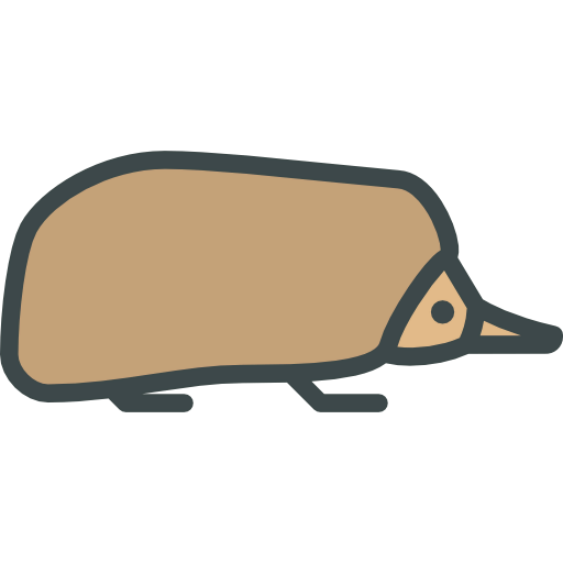 Echidna icon