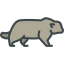 Pallas cat icon 64x64