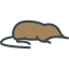 Desman icon 64x64