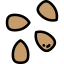 Sesame icon 64x64