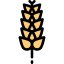 Gluten icon 64x64