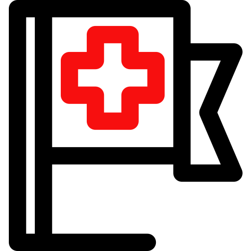 Flag icon
