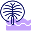 Palm islands Ikona 64x64