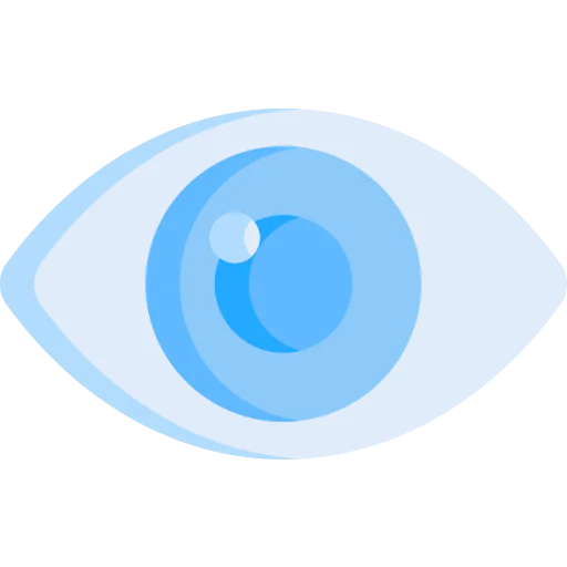 Visible icon