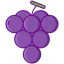 Grapes 상 64x64