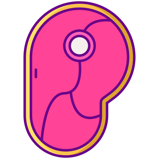 Meat icon