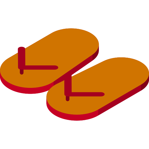 Flip flops icon