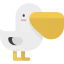 Pelican Ikona 64x64