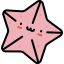 Starfish icon 64x64