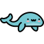Whale icon 64x64