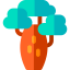 Baobab icon 64x64