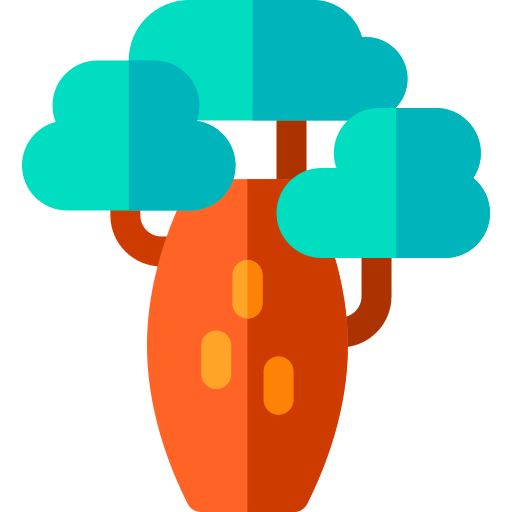 Baobab icon