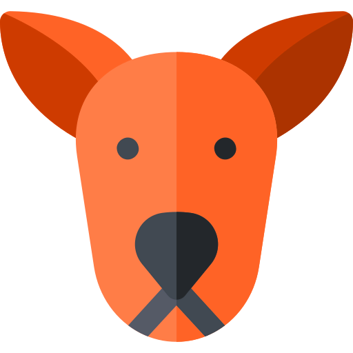 Kangaroo icon