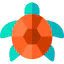 Turtle icône 64x64