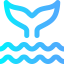 Whale icon 64x64