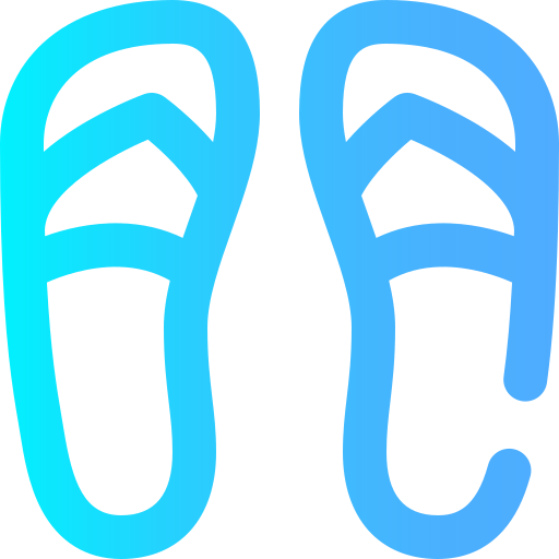Flip flops icon
