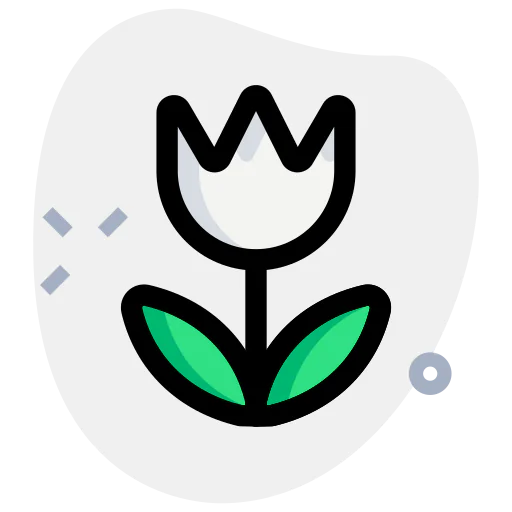 Macro icon