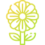 Flower icon 64x64