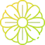 Бархатцы иконка 64x64
