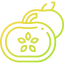 Sapote icon 64x64