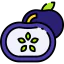 Sapote icon 64x64