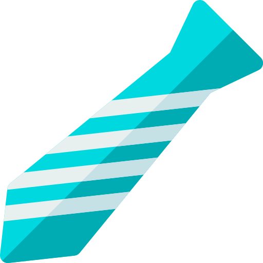 Accessory icon