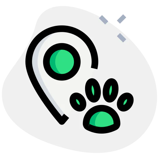 Location icon